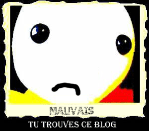 comment tu trouve mon blog ???